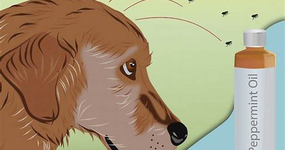 Peppermint Oil for Fleas