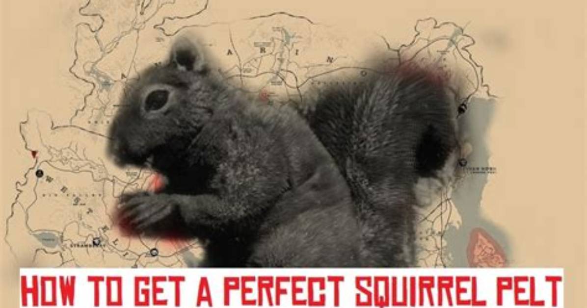 Perfect Squirrel Pelt Rdr2