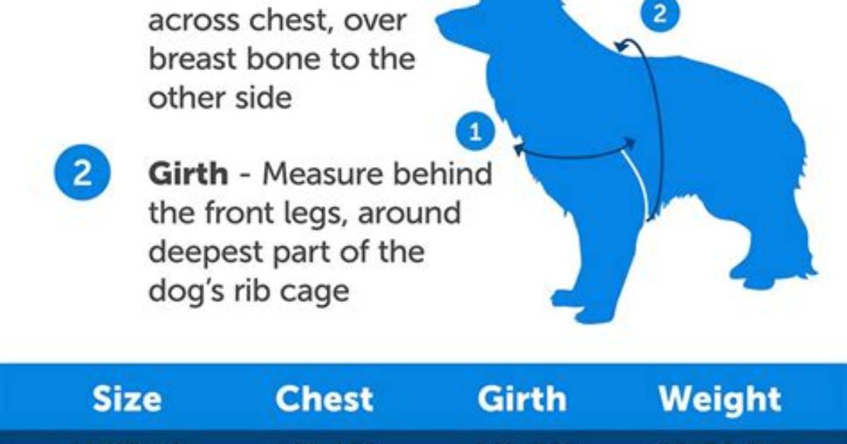Petsafe Easy Walk Harness Sizing Chart