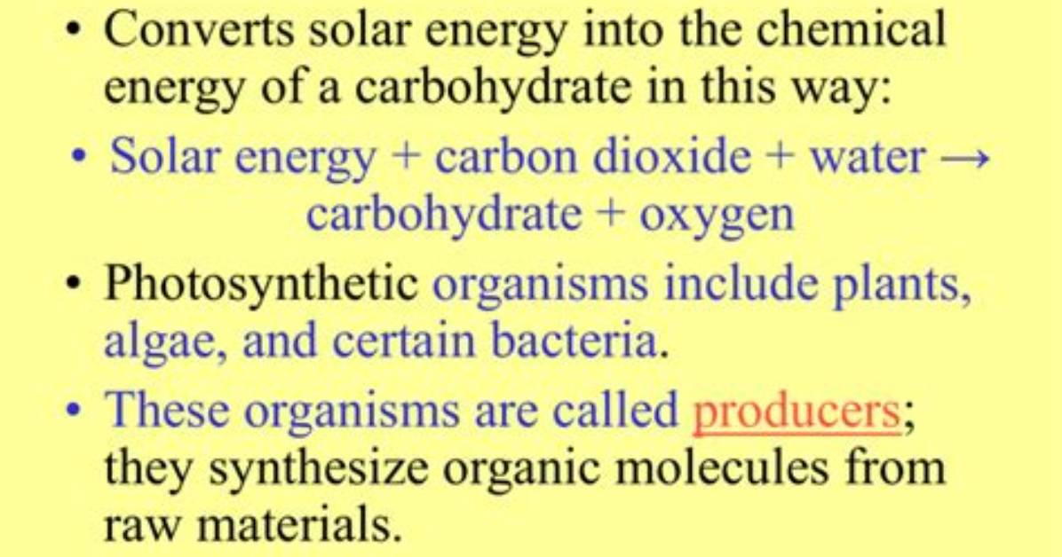Photosynthesis Converts Solar Energy into What Type of Energy