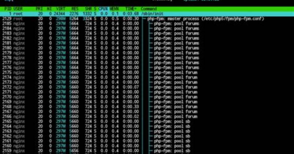 Php-Fpm Eating Memory & Creating Many Pools