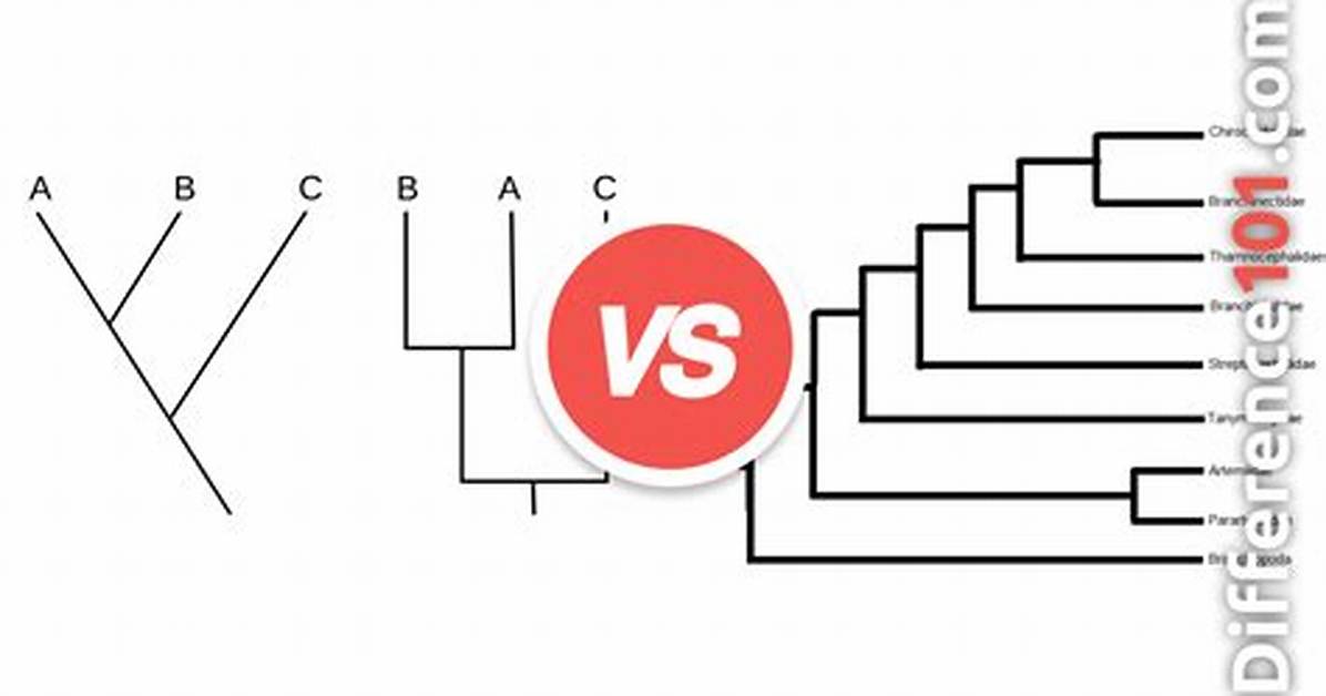 Phylogenetic Tree vs Cladogram