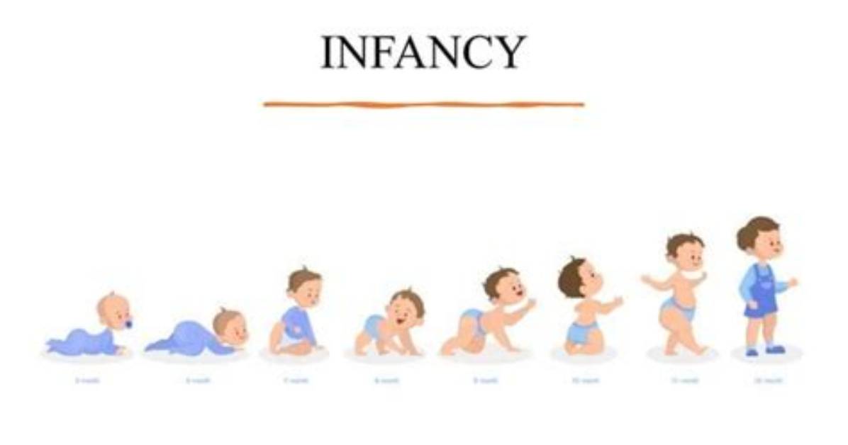 Physical Development for Infancy, Check These out | What Are Some Examples of Physical Development in Infancy and Early Childhood?