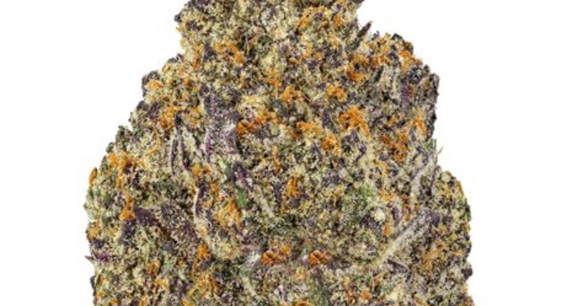 Pina Colada Strain