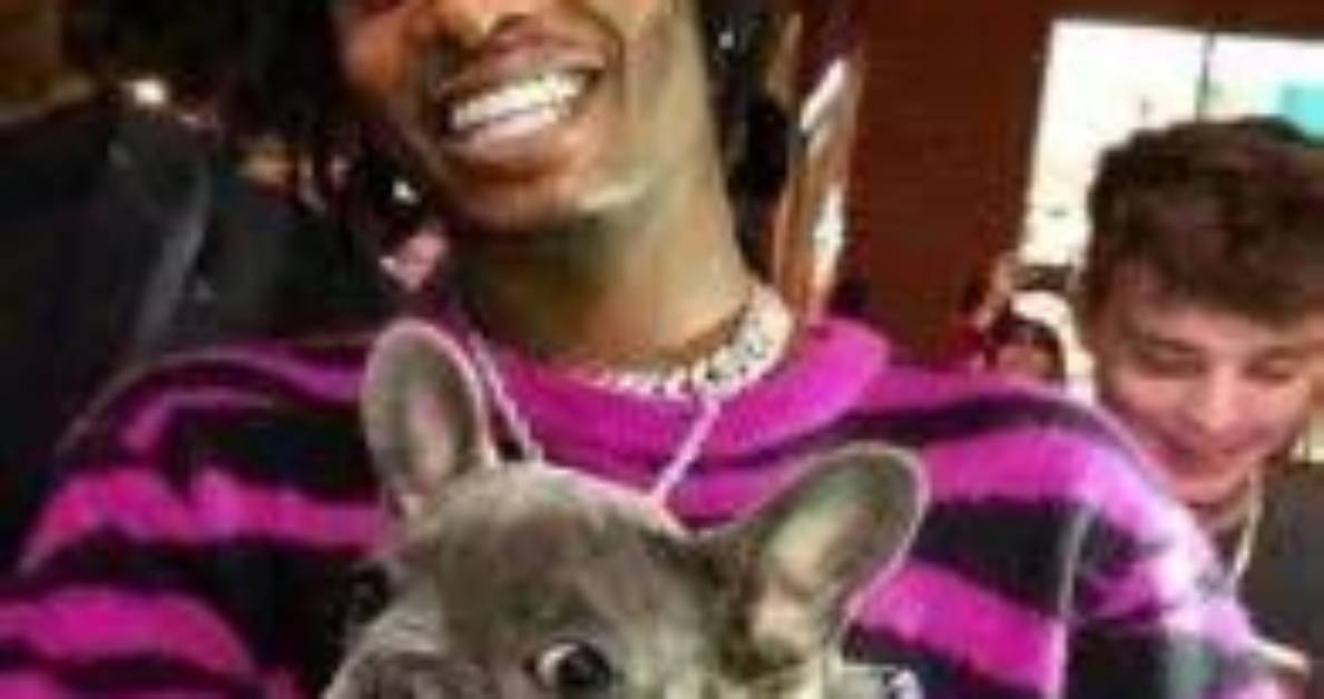 Playboi Carti Pets - Celebrity Pets
