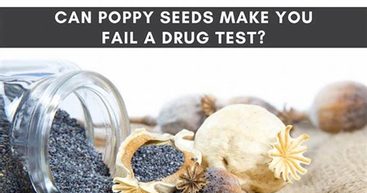 Poppy Headed for Drug Spiral After Losing Daughter?