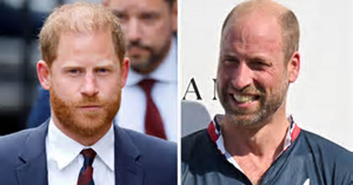 Prince William and Prince Harry Just United to Honor Princess Diana