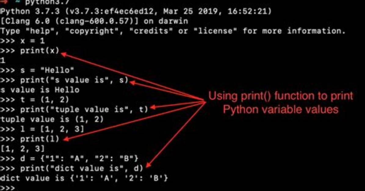 Print String and Variable Contents on the Same Line in R