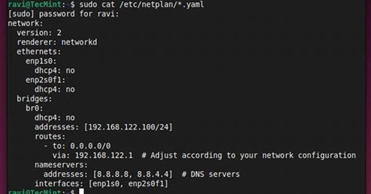 Problem to Setup Network-Bridge with Netplan Under Ubuntu 18.04 Dedicatet Server