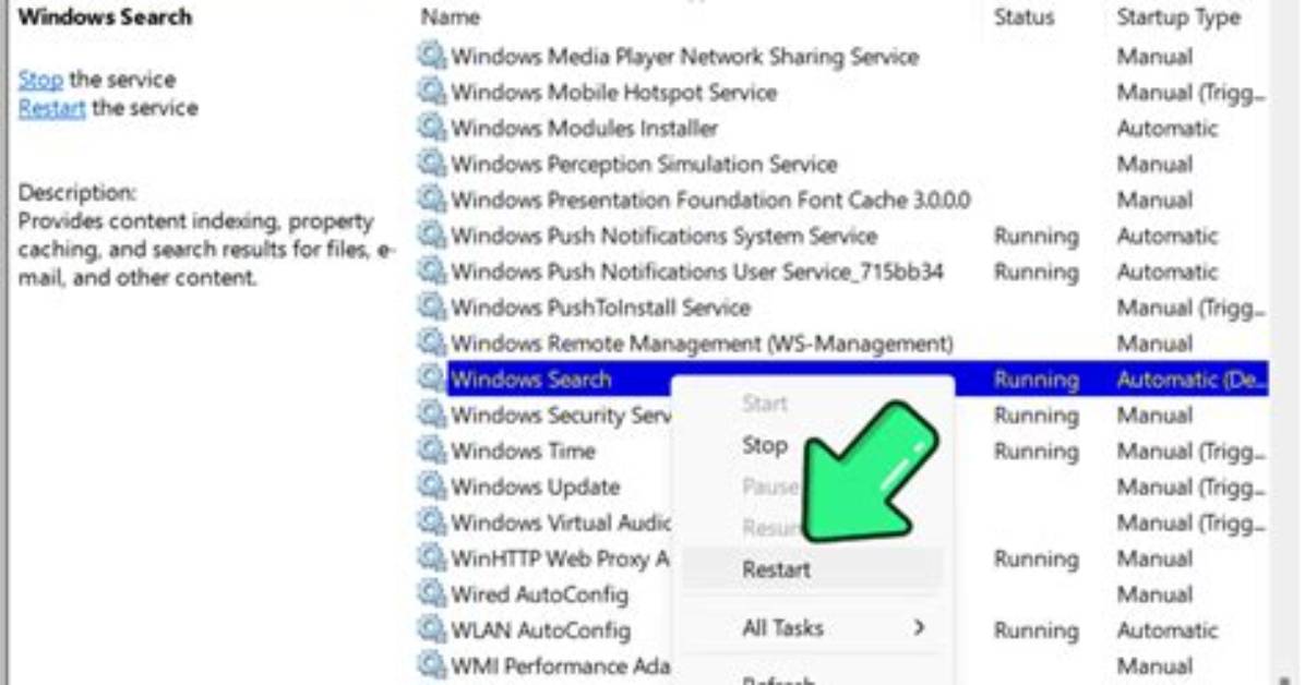 Problem with Windows Search Service