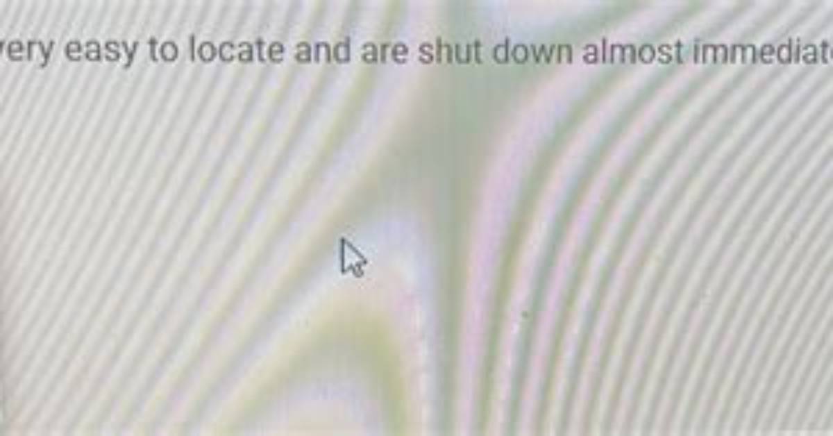 Programs Shut Down Immediately After Opening
