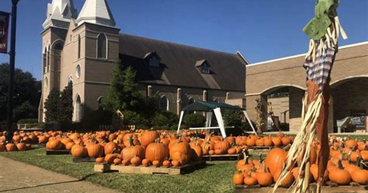 Pumpkin Patch @ Covenant United Methodist Church