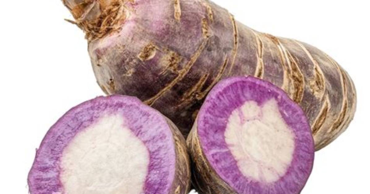 Purple Taro