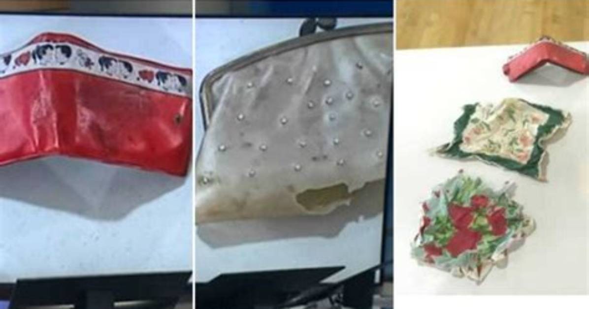 Purse Lost 63 Year's Ago at Ohio School Found
