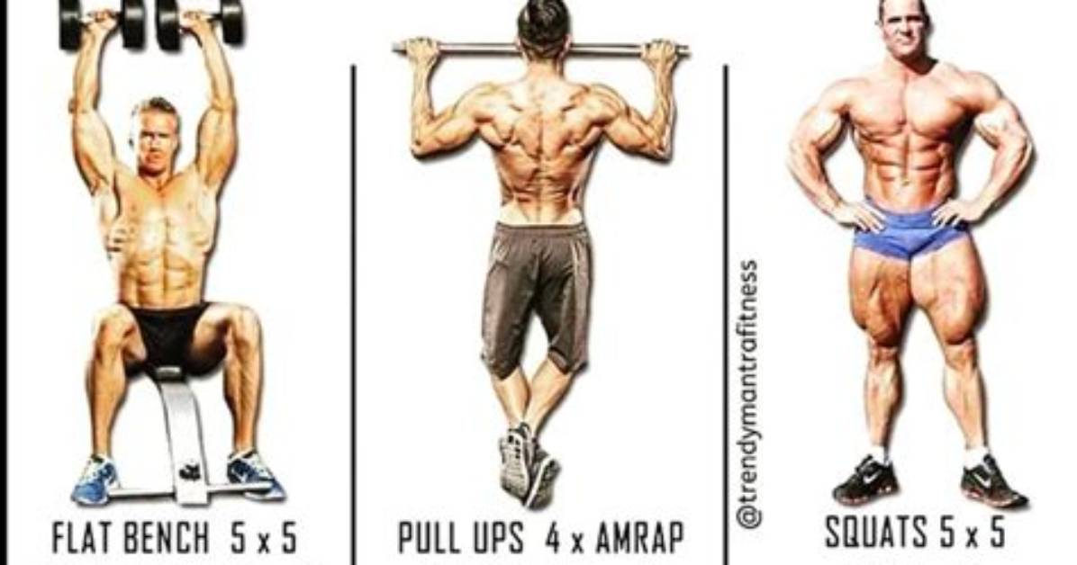 Push Pull Legs Routine | the Best Mass-Building Workout Split