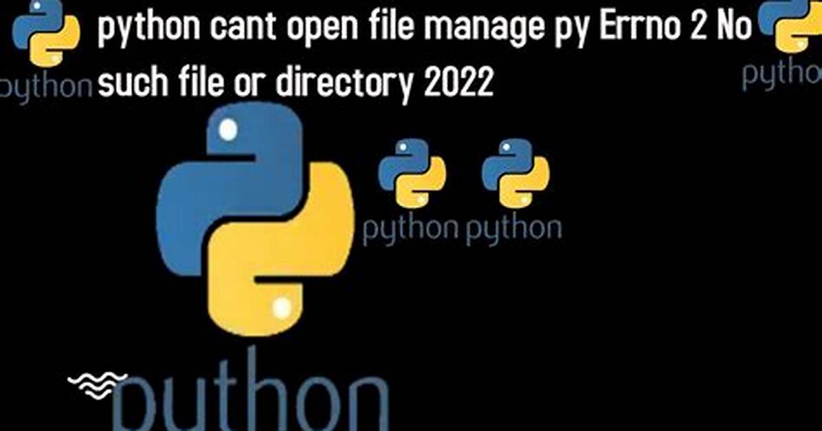 Python: Can't Open File [Errno 2]