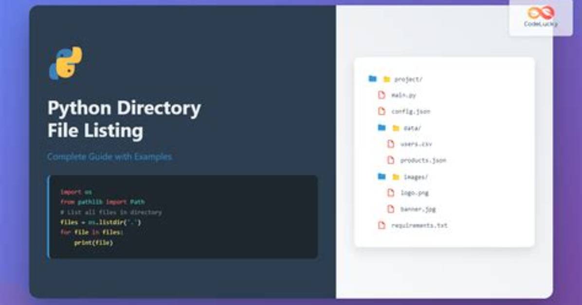 Python, Choose Logging Files' Directory