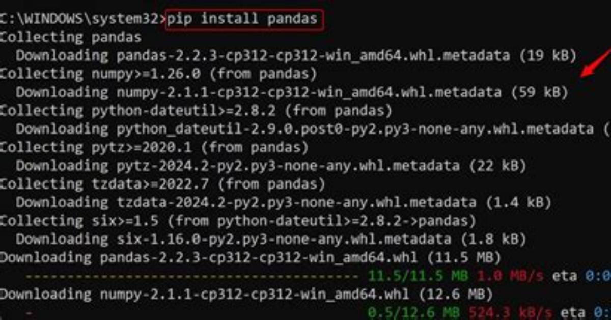 Python-Pandas Install Wants to Remove R