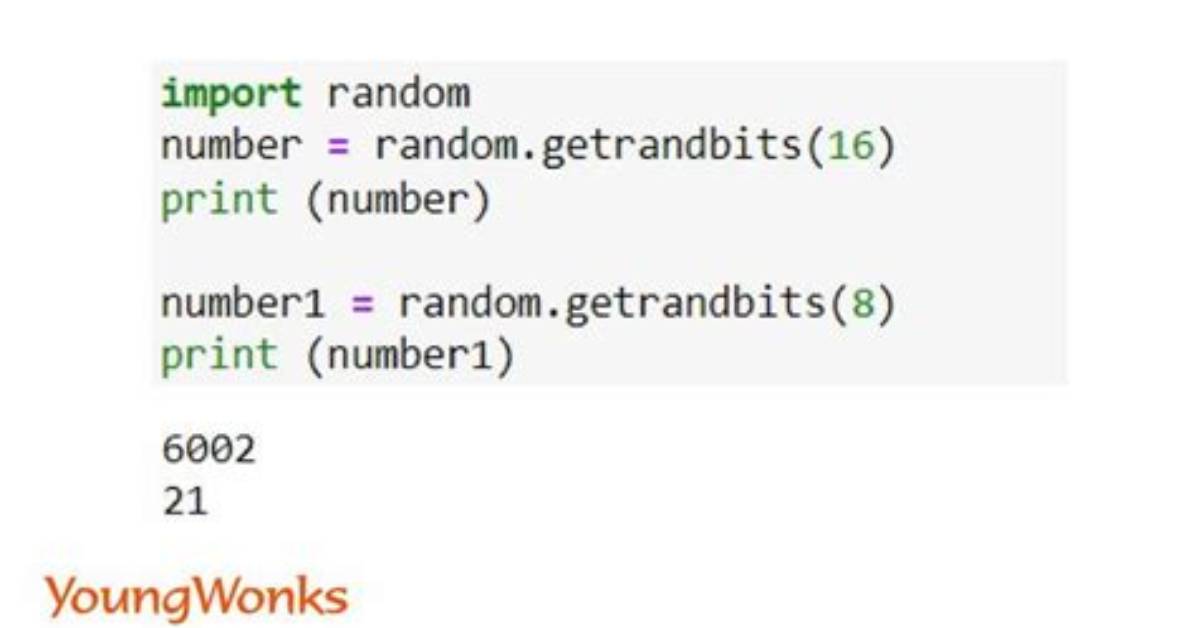 Python Random Function