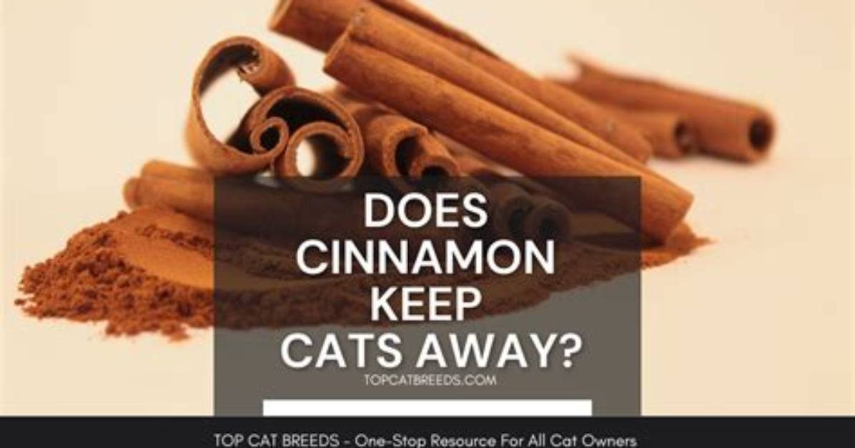 Question: Does Cinnamon Keep Mice Away