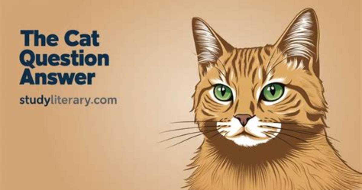 Question: How Do I Cat a Specific Line in Unix?