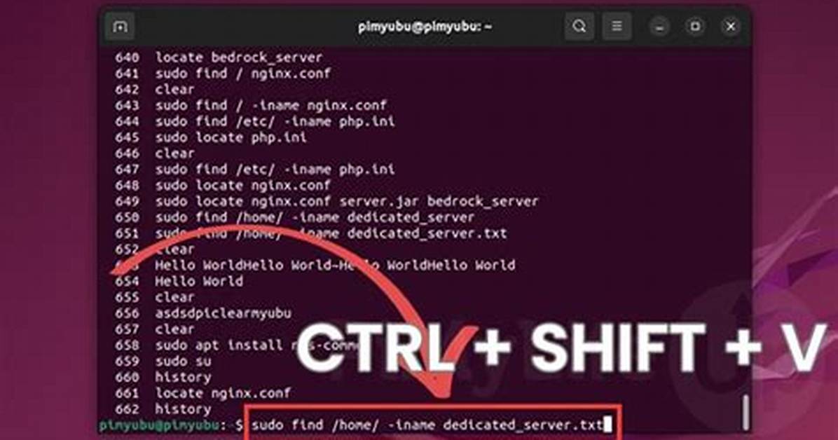 Question: How Do I Paste in Ubuntu Virtualbox?
