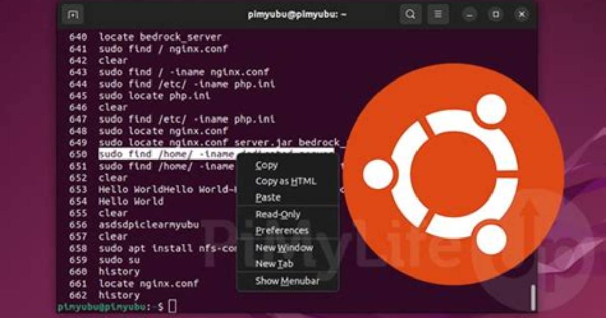 Question: How Do I Paste into Ubuntu Terminal?