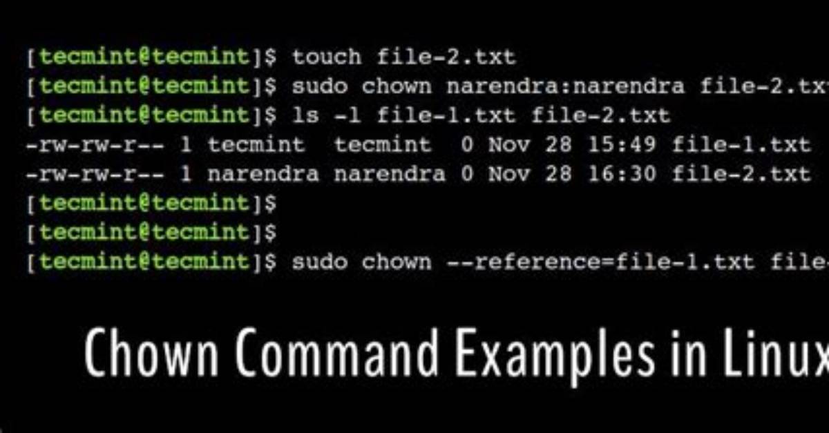 Question: How Does Chown Command Work in Linux?