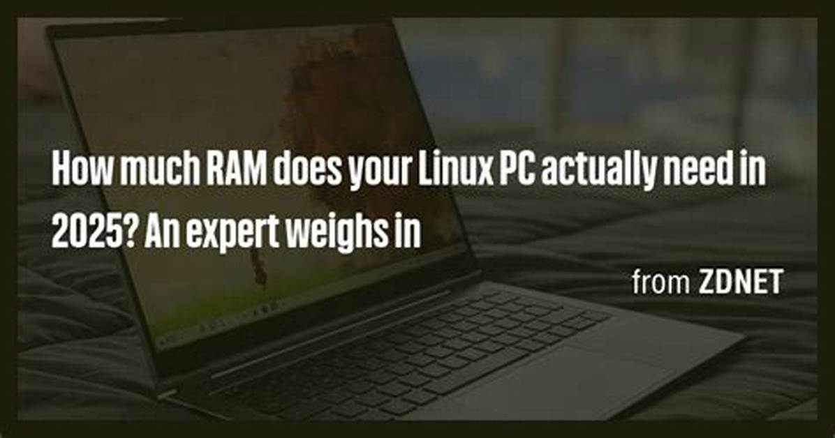 Question: How Much Ram Does Linux Mint Need?