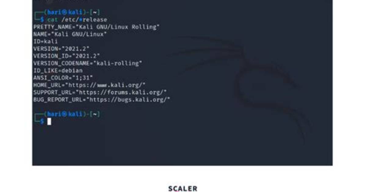 Question: How to Check Php Version Linux?