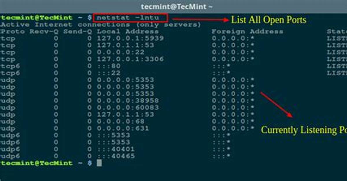 Question: How to Open Port Linux?