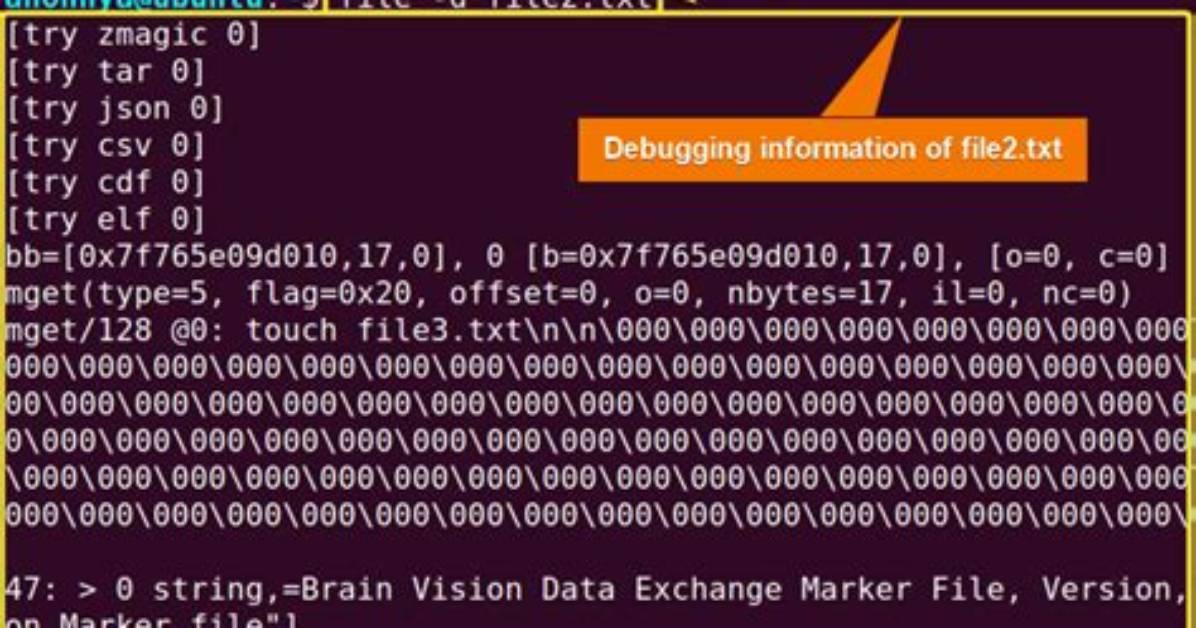 Question: What Is File Command in Linux?