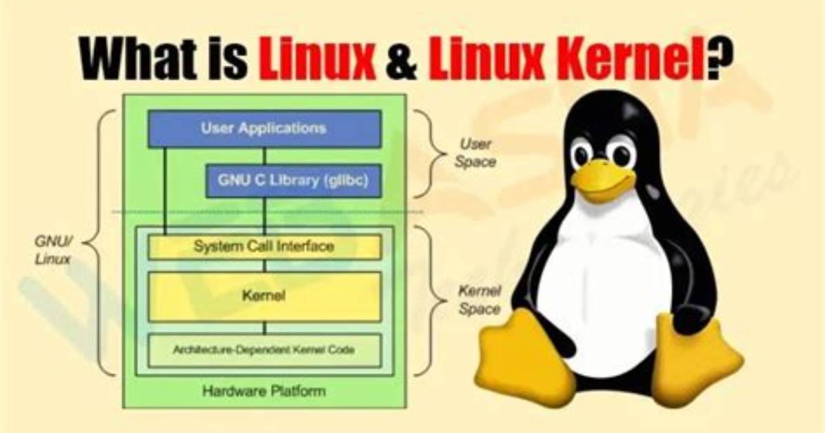 Question: What Is the Linux Kernel and What Is Its Purpose?