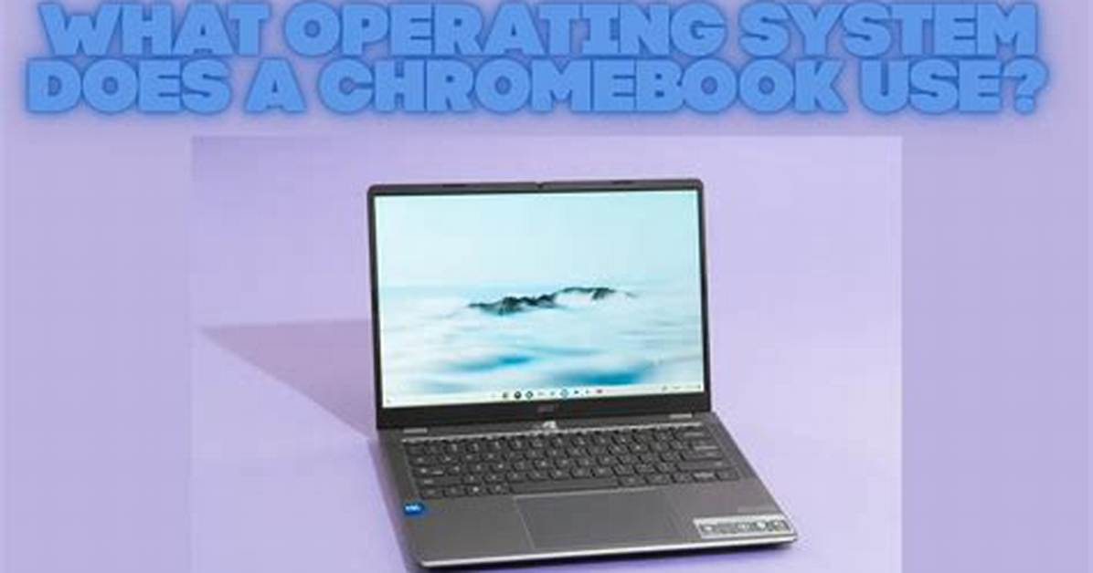 Question: What Operating System Does a Chromebook Have?