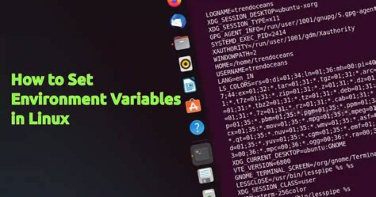 Question: Where Are Environment Variables Stored Linux?