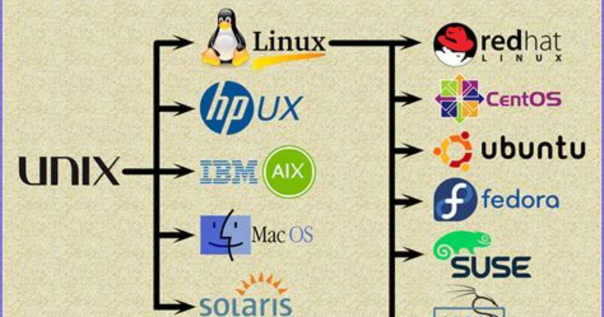 Question: Which Linux Flavour Is Best?
