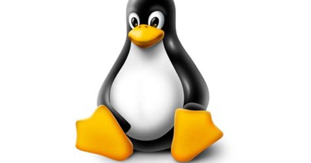 Question: Why Is Linux Logo a Penguin?