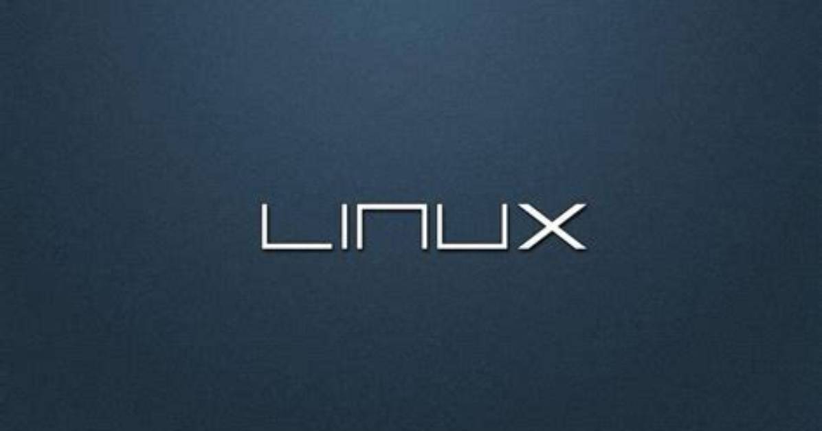 Question: Why Is Linux Preferred for Programming?