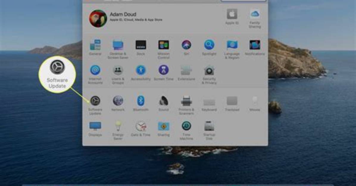Quick Answer: Can macOS Catalina Be Installed on Macintosh Hd?