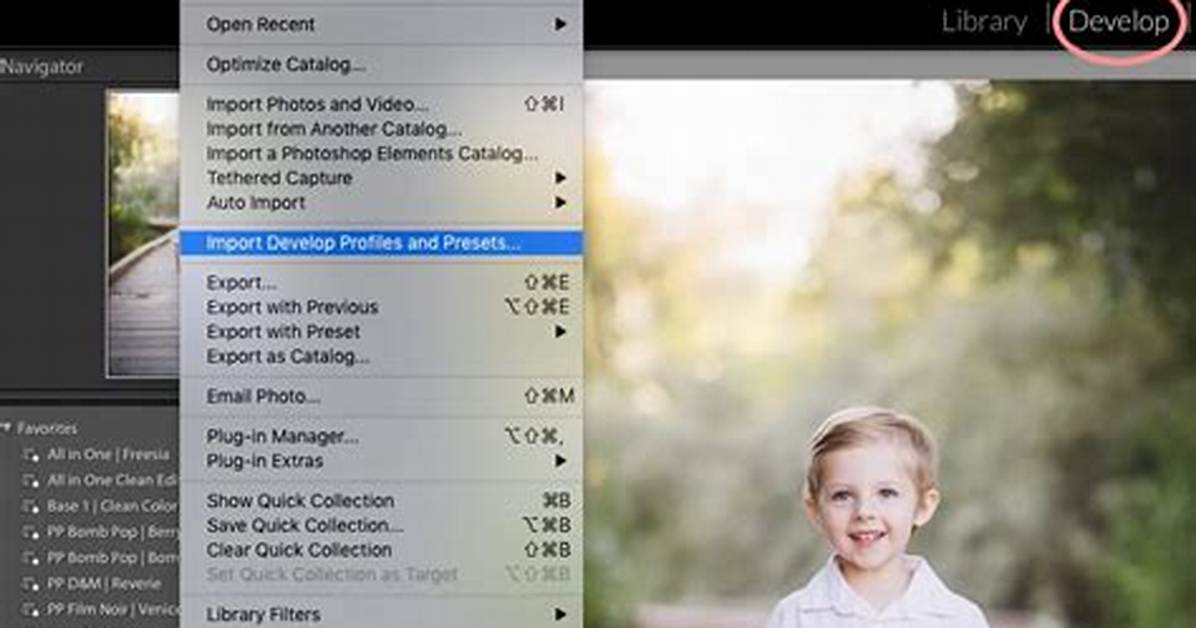 Quick Answer: Can You Use Lightroom Presets in Capture One?