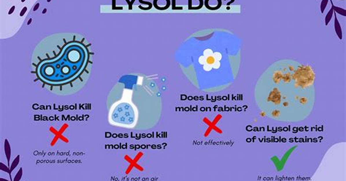 Quick Answer: Does Lysol Kill Mold 2