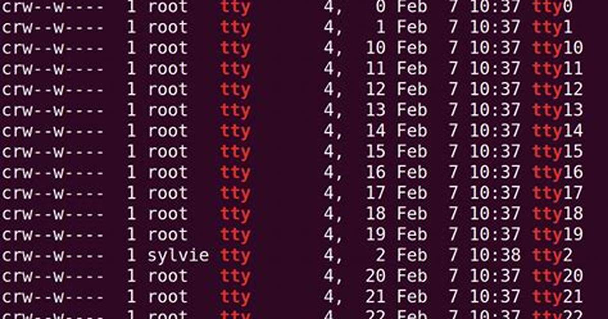 Quick Answer: How Check Tty Linux?