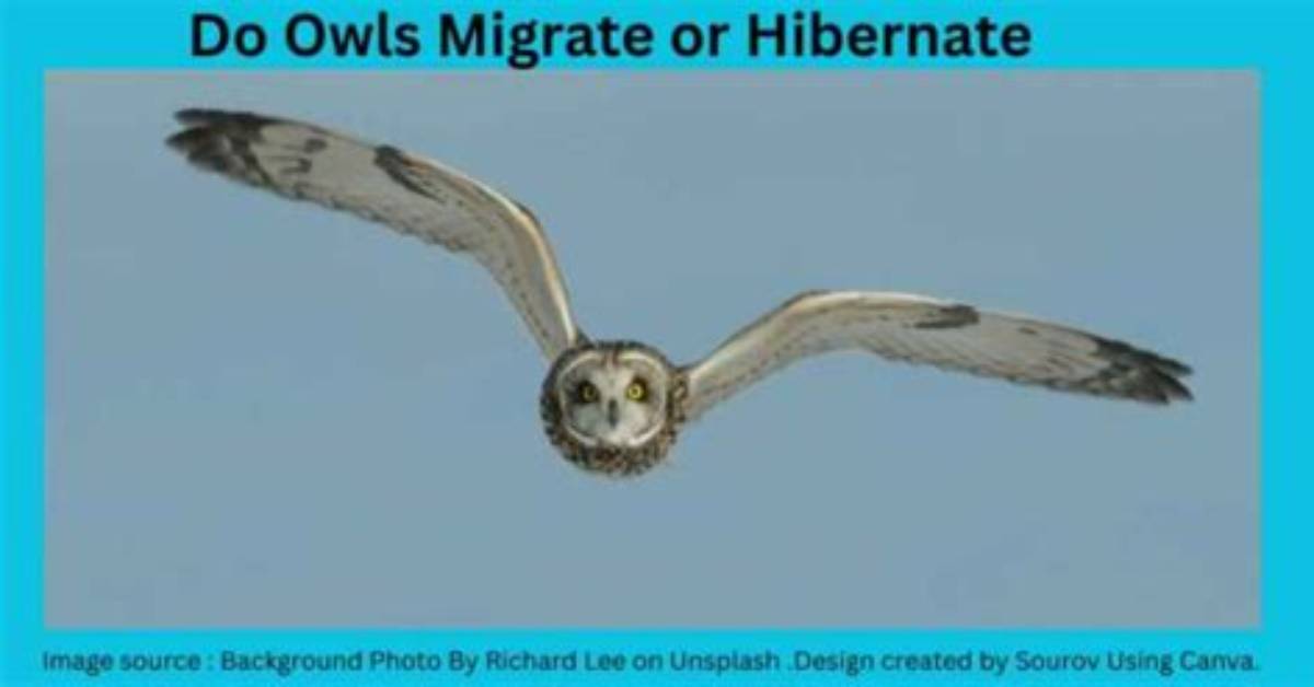 Quick Answer: How Do I Migrate to a New Linux Server?