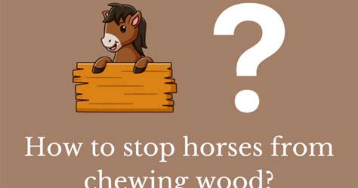 Quick Answer: How Do I Stop All the Ads on My Android?