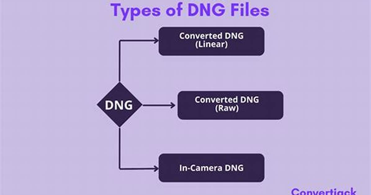 Quick Answer: How Do I Use Dng Files in Lightroom?
