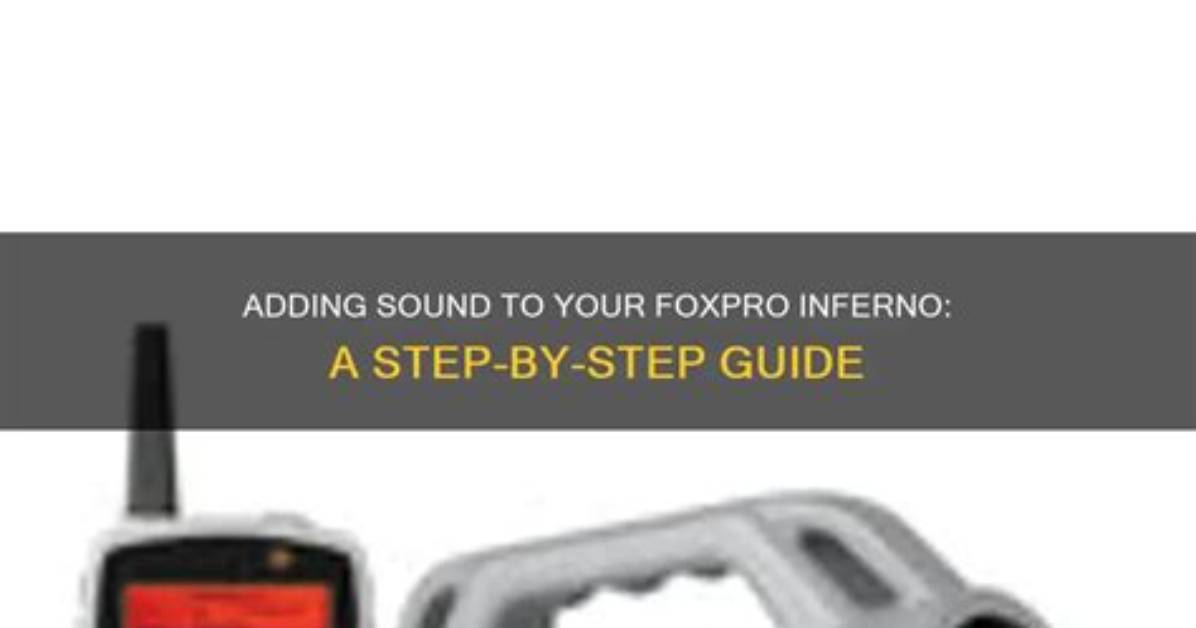 Quick Answer: How Do I Use Foxpro on Windows 10?