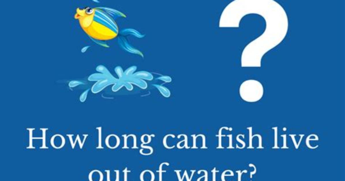 Quick Answer: How Long Can I Still Use Windows 7?