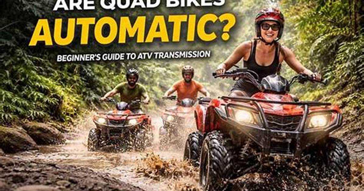 Quick Answer: How Much Are Quad Bikes