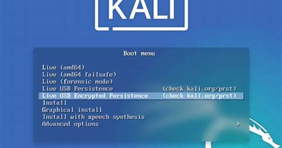 Quick Answer: How to Boot Kali Linux from Usb?
