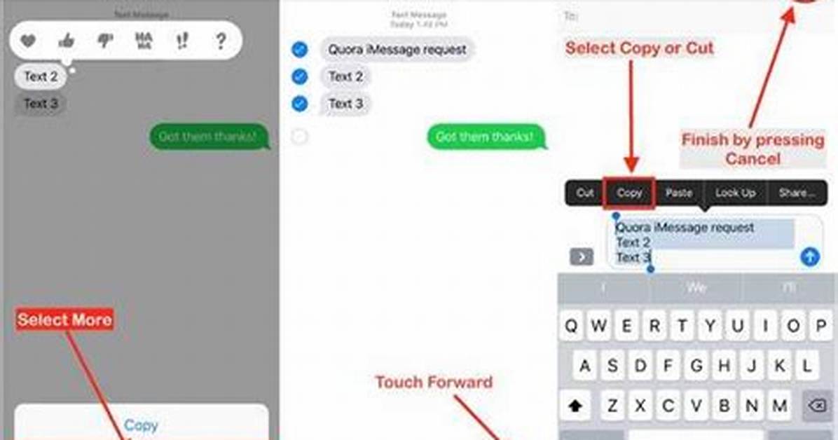 Quick Answer: How to Copy Text Messages from Android to Email?